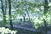 walkway to dock spring